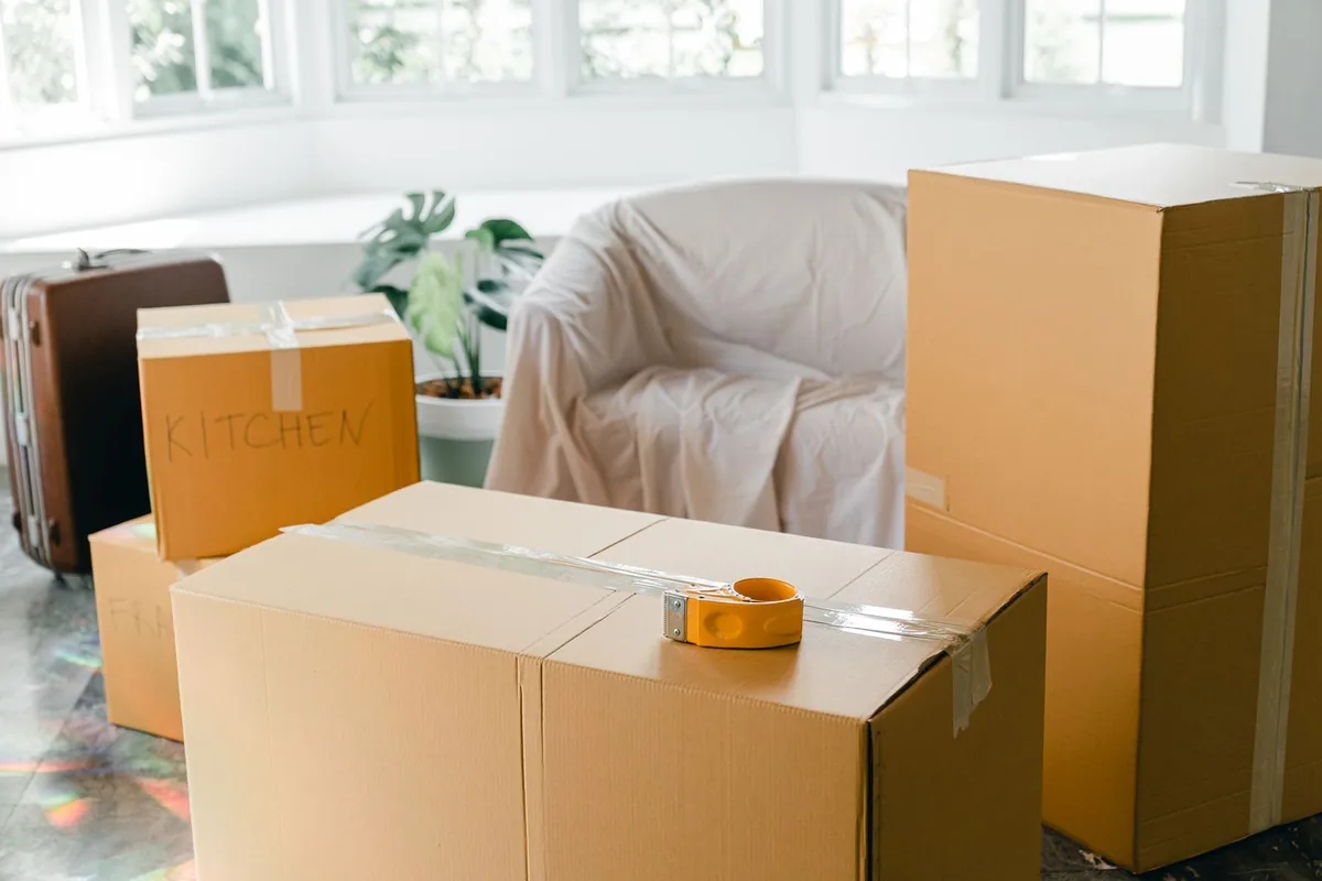 Hoarding Cleanup in Holland, OH